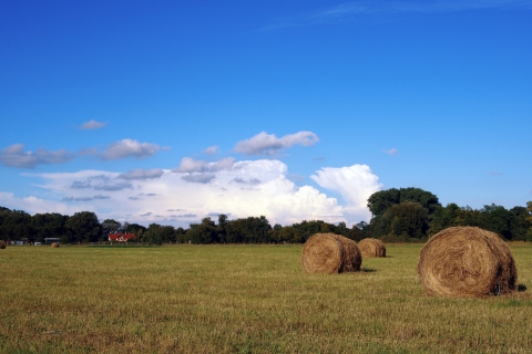 Wallpaper: Strohballen